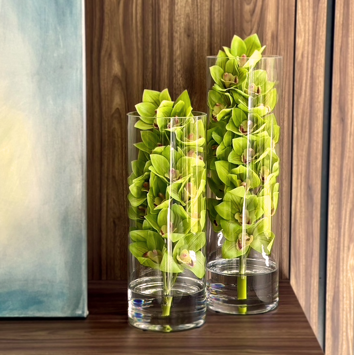 Cymbidium Orchid Cylinder