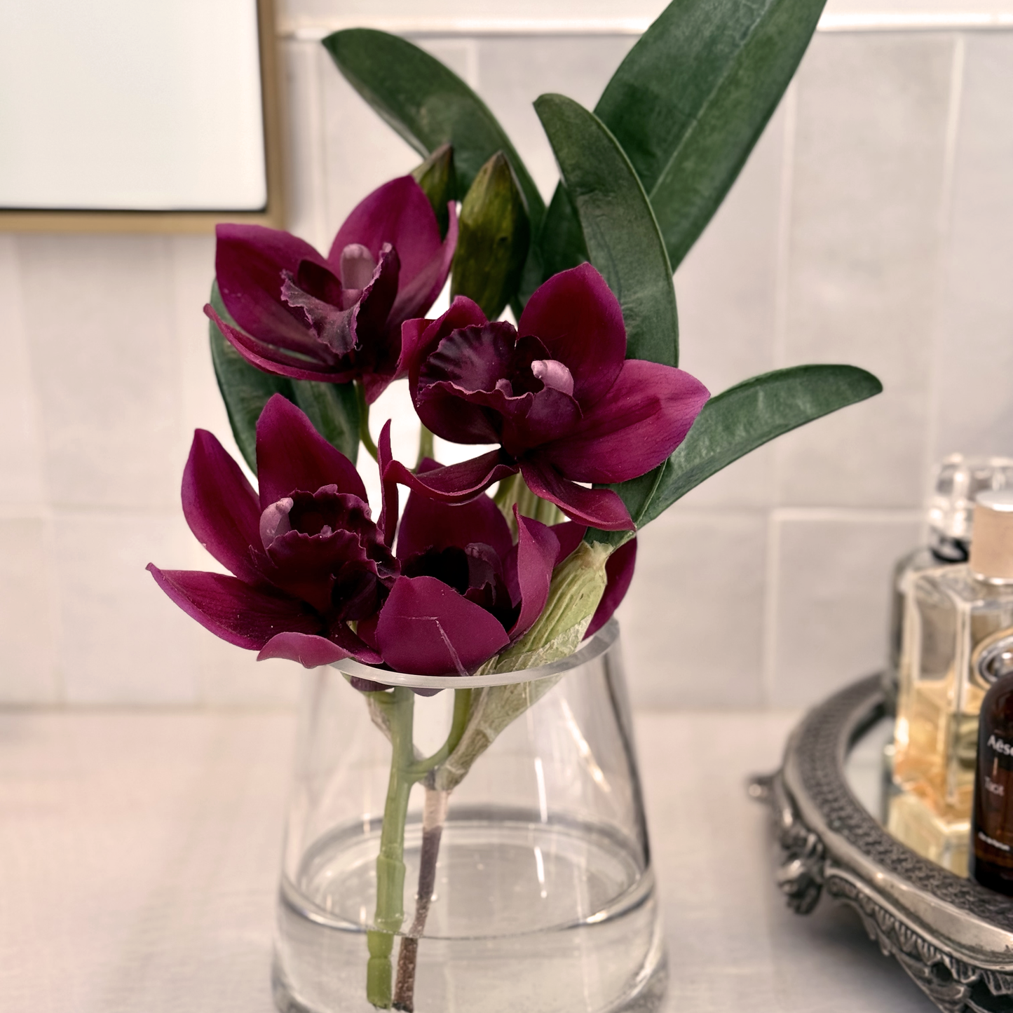 Cymbidium Orchid Pyramid