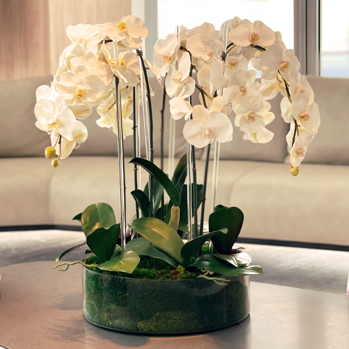 Orchid in Moss Art