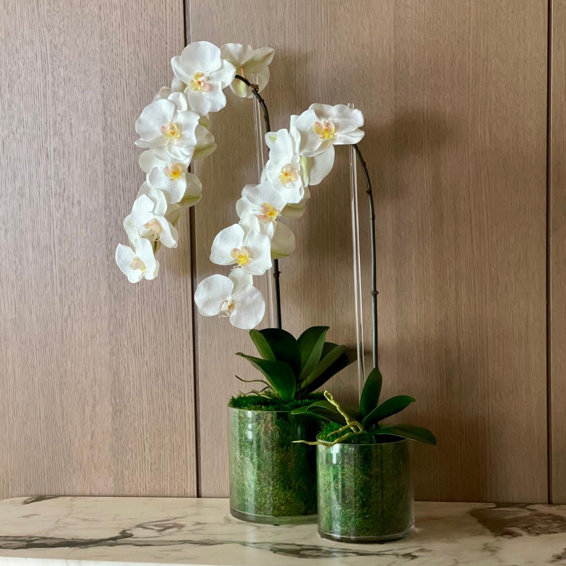 Single Orchid in Moss Art
