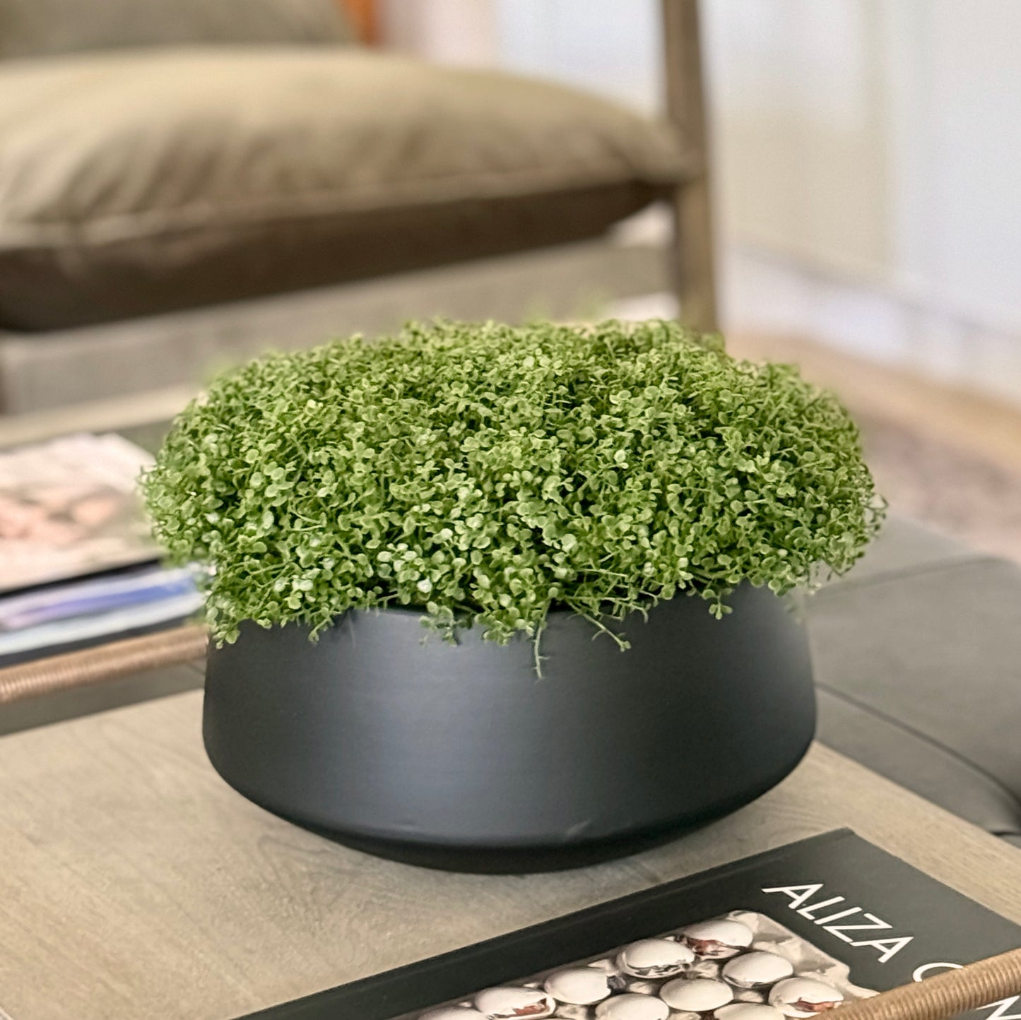 Micro Greenery Bowl