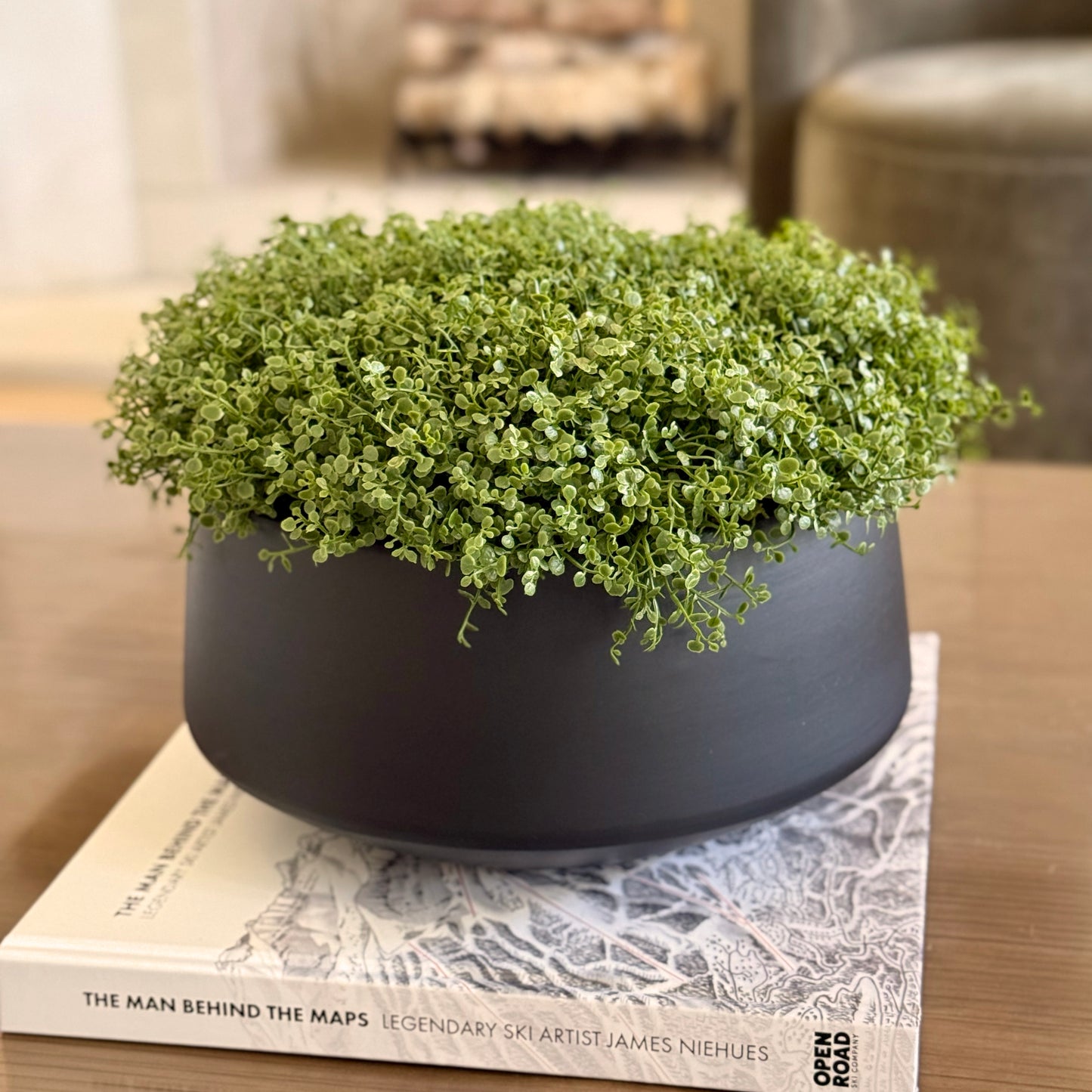 Micro Greenery Bowl