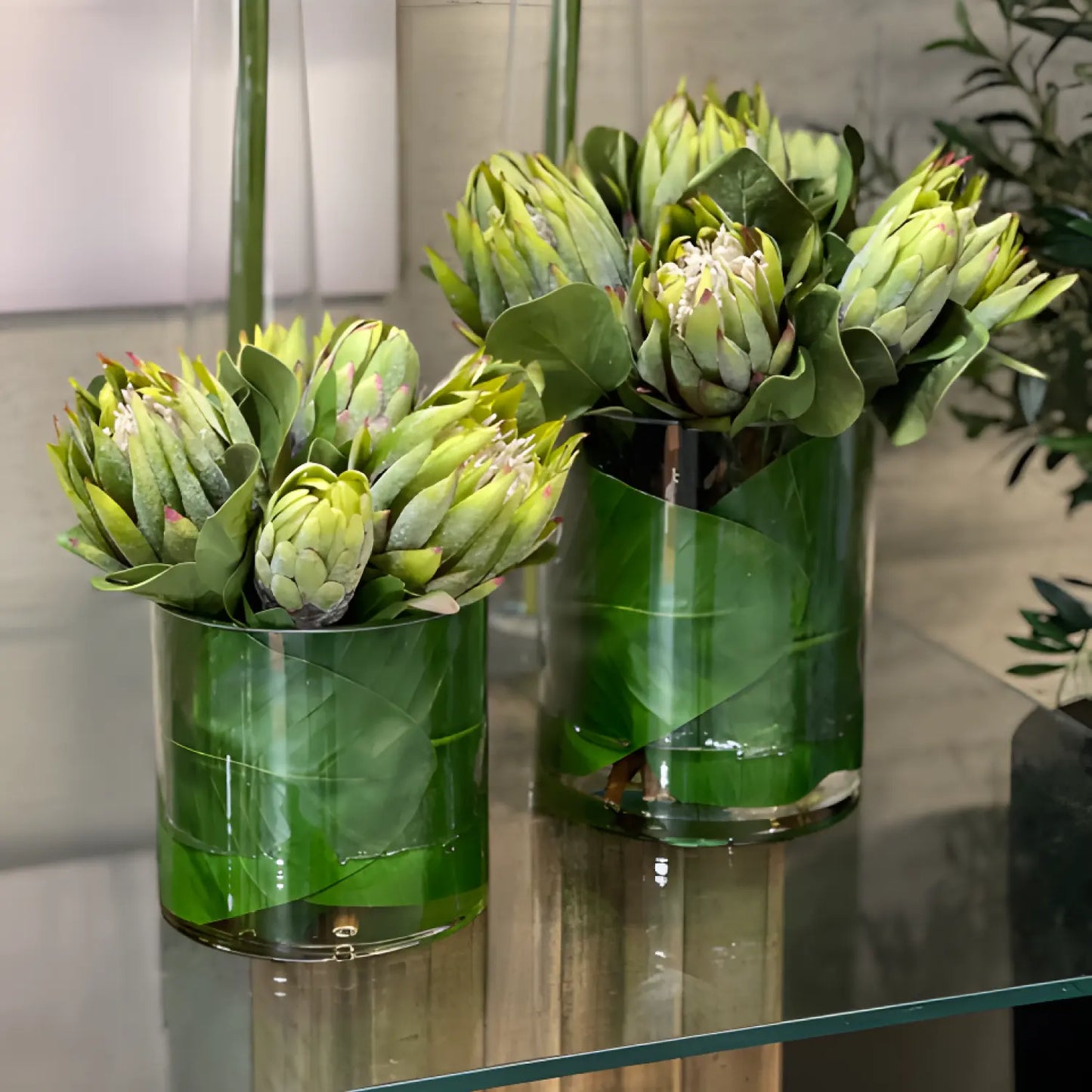 King Protea Cylinder