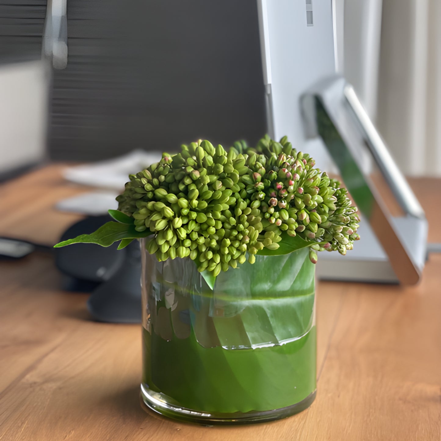 Sedum & Tea Leaf Centerpiece