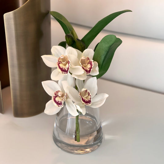 Cymbidium Orchid Pyramid