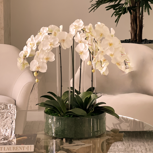 Orchid in Moss Art