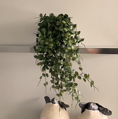 Hanging Button Leaf