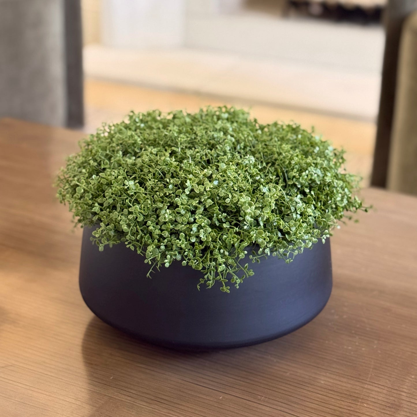 Micro Greenery Bowl