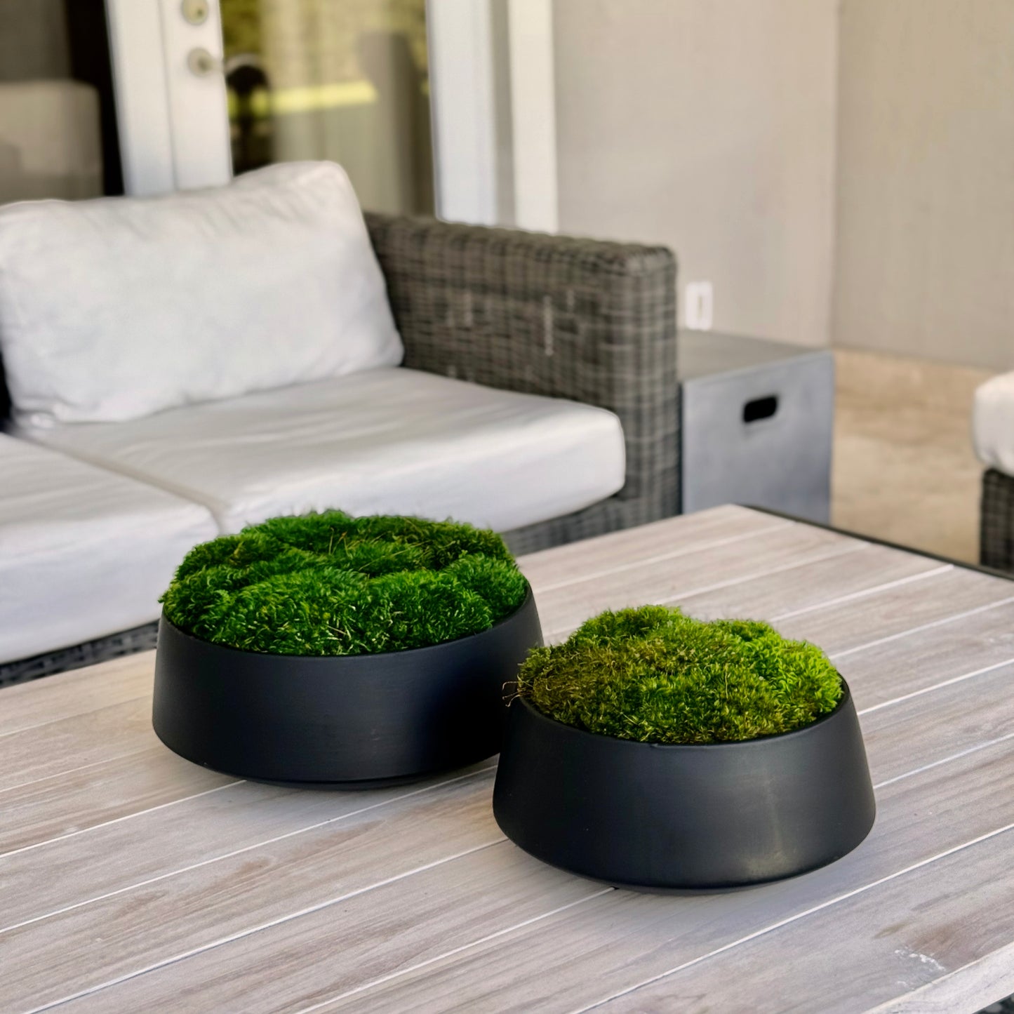 Preserved Moss Art Bowl