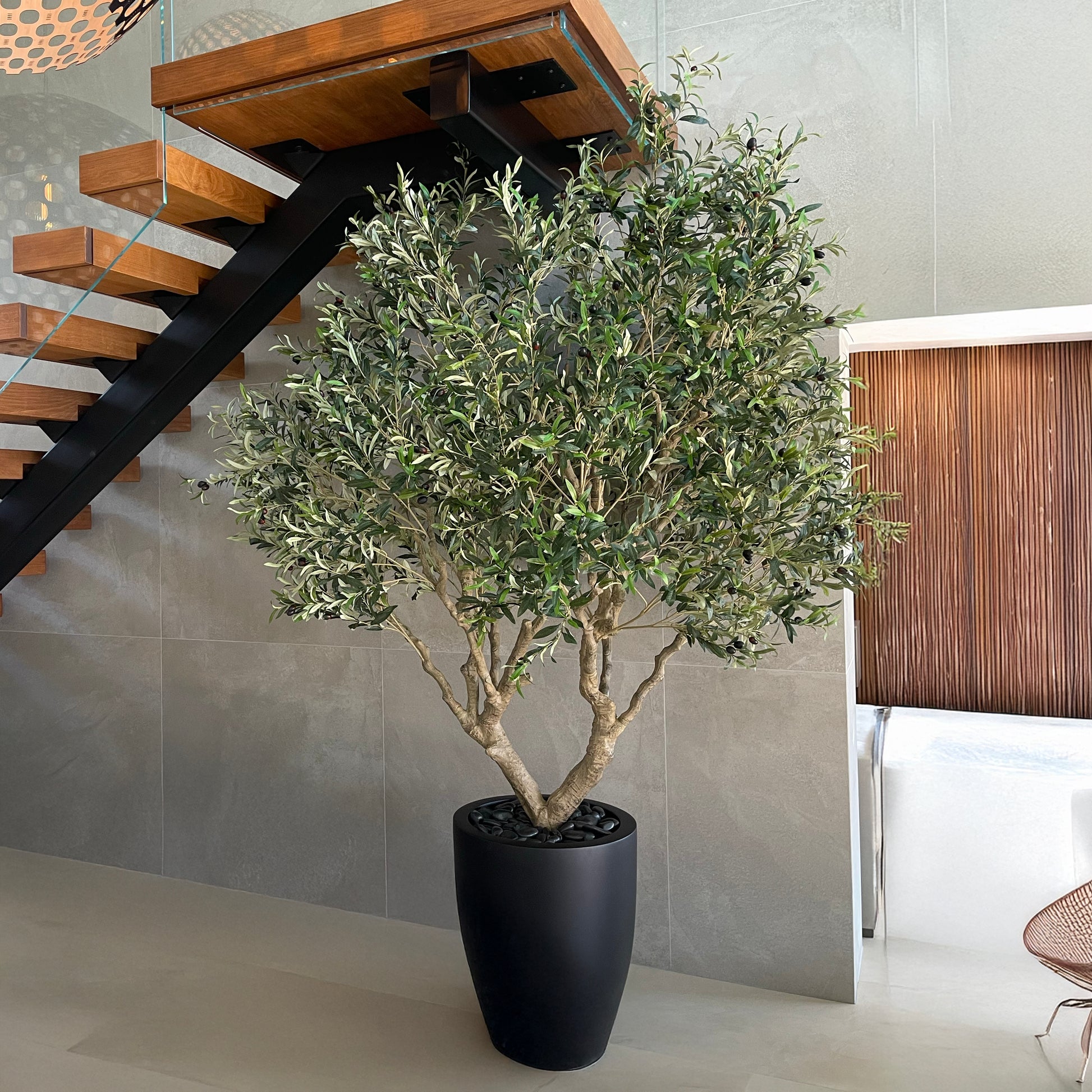 large plant pot for olive tree Olive Tree – Ana Roma Design