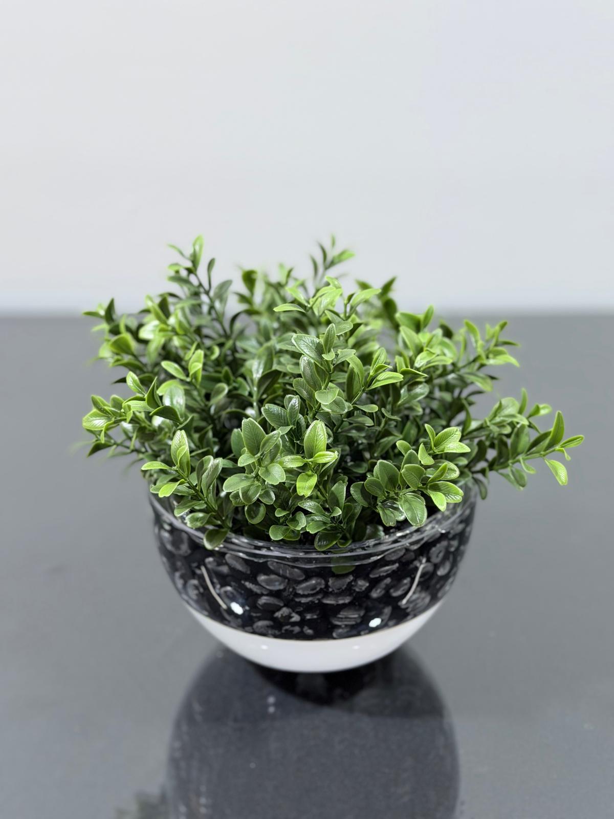 Boxwood Greenery Crystal Bowl