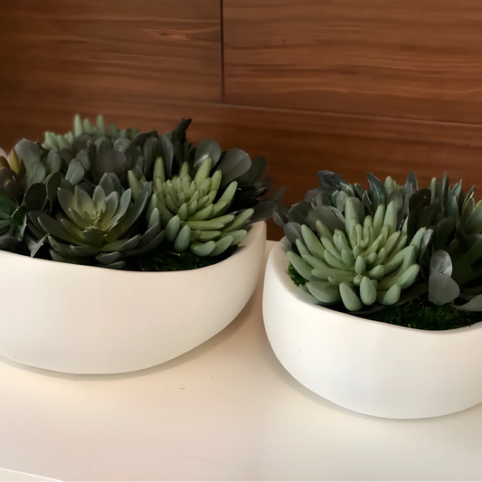 Introduce an exotic touch to your space with our diverse, hardy Succulents. These low-maintenance plants store water in their leaves, stems, or roots, making them resilient to drought. With striking shapes and vibrant colors, Succulents bring the beauty of nature to any indoor or outdoor environment.