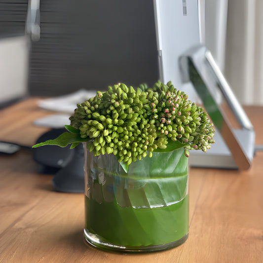 Tea Leaf & Sedum greens in water illusion