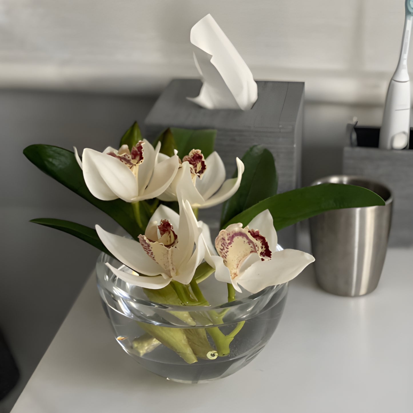 Cymbidium Orchid in water illusion