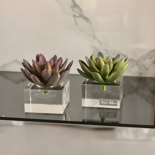 Crystal block with Succulent